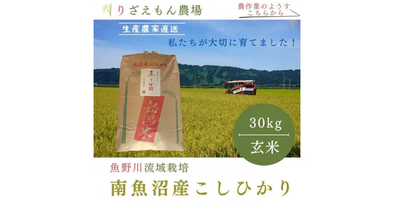 【ふるさと納税】《新米予約受付》玄米30kg　令和6年産　南魚沼産　コシヒカリ　こしひかり　魚野川流域　匠 雲蝶(たくみ　うんちょう）＼生産農家直送／ | お米 こめ 食品 コシヒカリ こしひかり 人気 おすすめ 送料無料 魚沼 南魚沼 南魚沼市 新潟県 玄米 産直