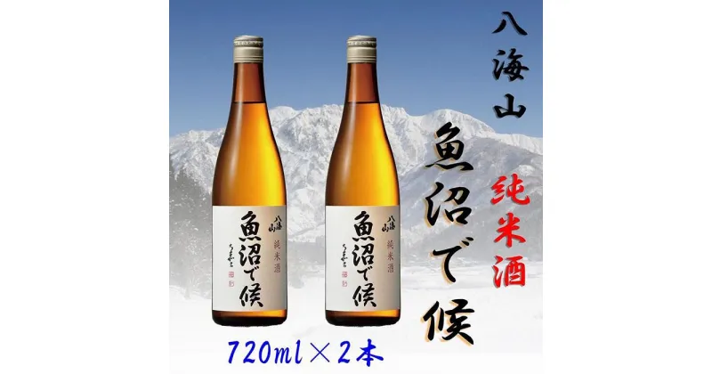 【ふるさと納税】酒 日本酒 セット 2本 × 720ml ( 八海山 純米酒 魚沼で候 ) | お酒 さけ 人気 おすすめ 送料無料 ギフト