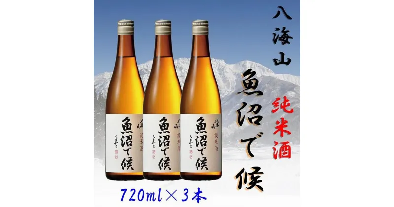 【ふるさと納税】酒 日本酒 セット 3本 × 720ml ( 八海山 純米酒 魚沼で候 ) | お酒 さけ 人気 おすすめ 送料無料 ギフト