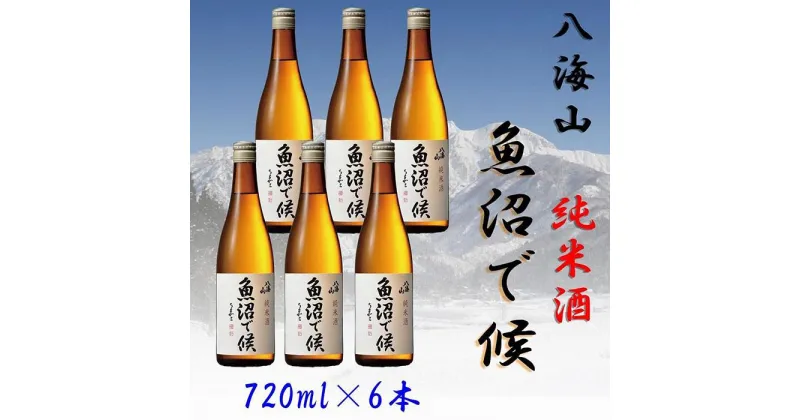 【ふるさと納税】酒 日本酒 セット 6本 × 720ml ( 八海山 純米酒 魚沼で候 ) | お酒 さけ 人気 おすすめ 送料無料 ギフト