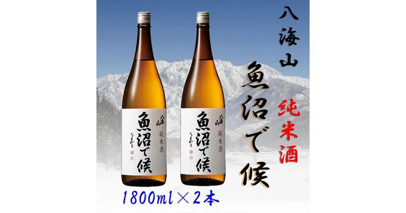 【ふるさと納税】酒 日本酒 セット 2本 × 1800ml ( 八海山 純米酒 魚沼で候 ) | お酒 さけ 人気 おすすめ 送料無料 ギフト