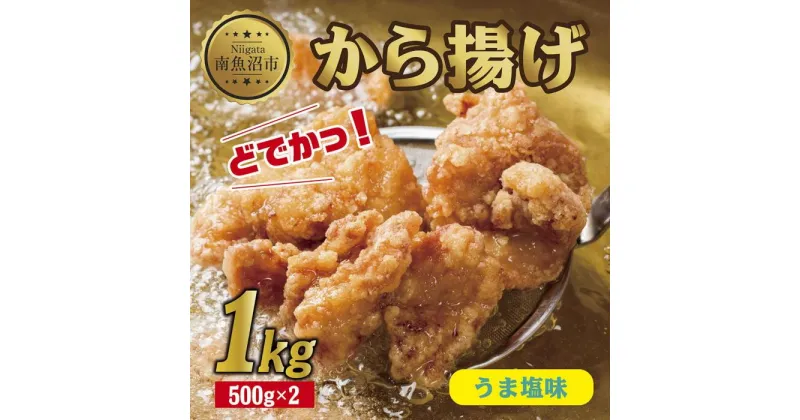 【ふるさと納税】どでか味付けから揚げ うま塩味 500g×2パック 計1kg 大容量 唐揚げ からあげ から揚げ しお 塩 揚げ物 冷凍 惣菜 簡単 調理 肉 おかず 味付き 野崎フーズ 新潟県 南魚沼市