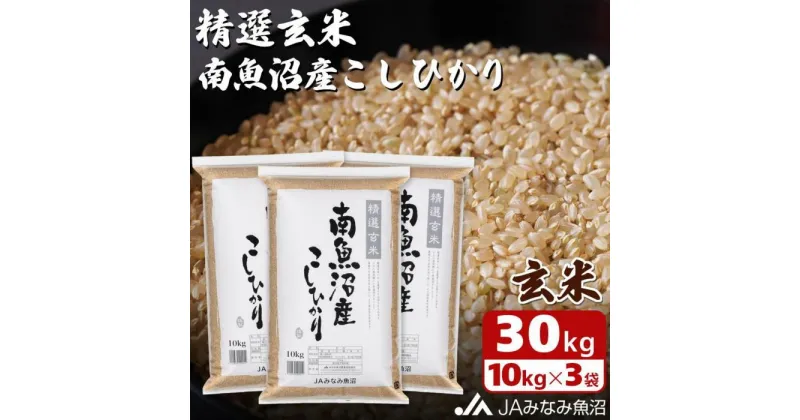 【ふるさと納税】【令和6年産＼新米／】米 玄米 南魚沼産 コシヒカリ 30kg ( 10kg × 3袋 ) | お米 こめ 食品 人気 おすすめ 送料無料 魚沼 南魚沼 南魚沼市 新潟県 精米 産直 産地直送 お取り寄せ