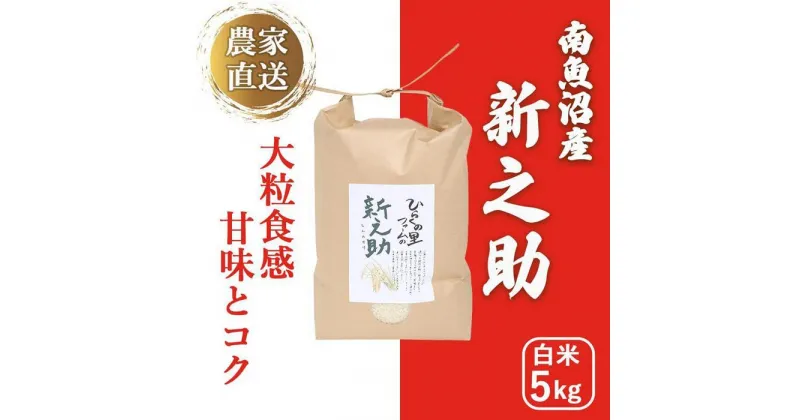 【ふるさと納税】【令和6年産新米予約】南魚沼産新之助 白米5kg きらめく大粒！ ひらくの里ファーム | お米 こめ 白米 新之助 食品 人気 おすすめ 送料無料 魚沼 南魚沼 南魚沼市 新潟県産 新潟県 精米 産直 産地直送 お取り寄せ