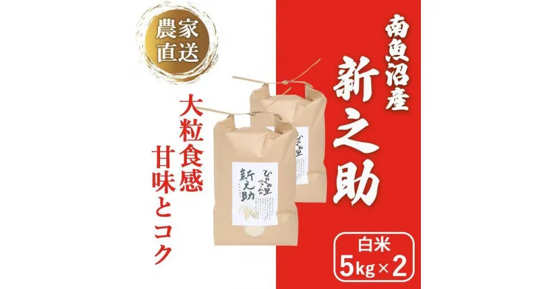 【ふるさと納税】【令和6年産新米予約】南魚沼産新之助 白米5kg×2 きらめく大粒！ ひらくの里ファーム | お米 こめ 白米 新之助 食品 人気 おすすめ 送料無料 魚沼 南魚沼 南魚沼市 新潟県産 新潟県 精米 産直 産地直送 お取り寄せ