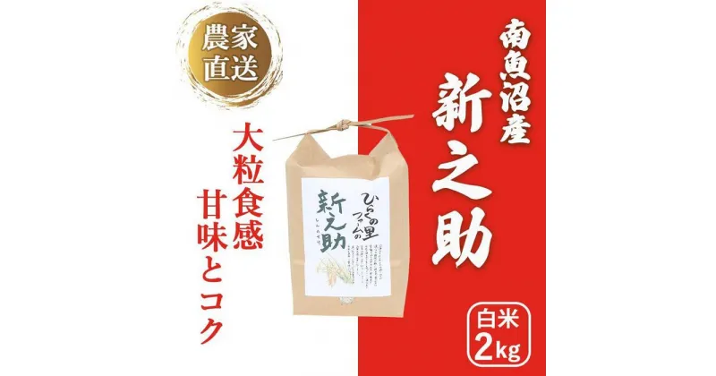 【ふるさと納税】【令和6年産新米予約】南魚沼産新之助 白米2kg きらめく大粒！ ひらくの里ファーム | お米 こめ 白米 新之助 食品 人気 おすすめ 送料無料 魚沼 南魚沼 南魚沼市 新潟県産 新潟県 精米 産直 産地直送 お取り寄せ