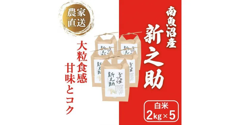 【ふるさと納税】【令和6年産新米予約】南魚沼産新之助 白米2kg×5 きらめく大粒！ ひらくの里ファーム | お米 こめ 白米 新之助 食品 人気 おすすめ 送料無料 魚沼 南魚沼 南魚沼市 新潟県産 新潟県 精米 産直 産地直送 お取り寄せ