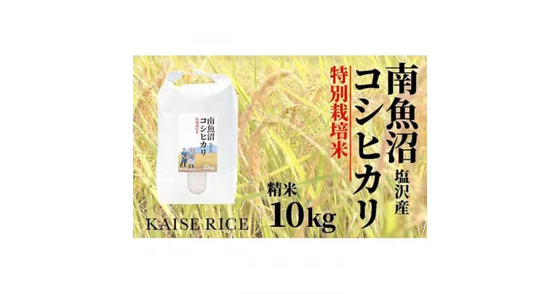 【ふるさと納税】南魚沼産塩沢コシヒカリ【従来品種】（特別栽培米8割減農薬）精米10kg | お米 こめ 白米 コシヒカリ 食品 人気 おすすめ 送料無料 魚沼 南魚沼 南魚沼市 新潟県産 新潟県 精米 産直 産地直送 お取り寄せ