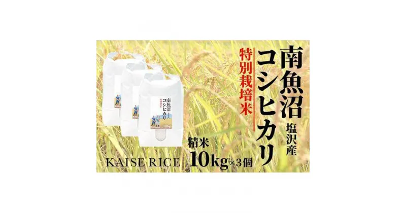 【ふるさと納税】南魚沼産塩沢コシヒカリ【従来品種】（特別栽培米8割減農薬）精米10kg×3個 | お米 こめ 白米 コシヒカリ 食品 人気 おすすめ 送料無料 魚沼 南魚沼 南魚沼市 新潟県産 新潟県 精米 産直 産地直送 お取り寄せ