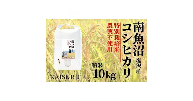 【ふるさと納税】南魚沼産塩沢コシヒカリ【従来品種】（農薬不使用）精米10kg | お米 こめ 白米 コシヒカリ 食品 人気 おすすめ 送料無料 魚沼 南魚沼 南魚沼市 新潟県産 新潟県 精米 産直 産地直送 お取り寄せ