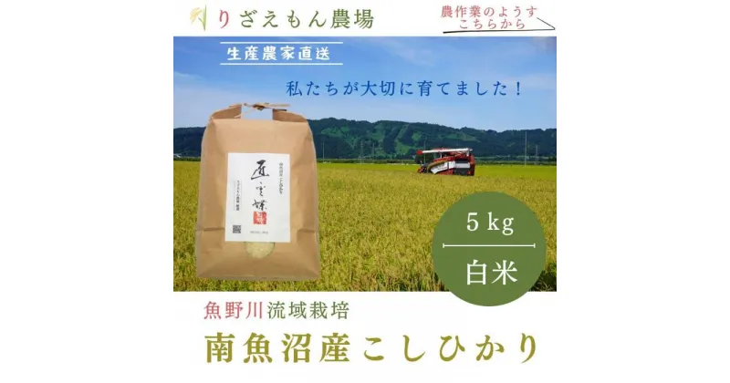 【ふるさと納税】《新米予約受付》白米5kg 令和6年産　南魚沼産こしひかり　魚野川流域　匠 雲蝶(たくみ　うんちょう） ＼生産農家直送／ | お米 こめ 白米 コシヒカリ 食品 人気 おすすめ 送料無料 魚沼 南魚沼 南魚沼市 新潟県産 新潟県 精米