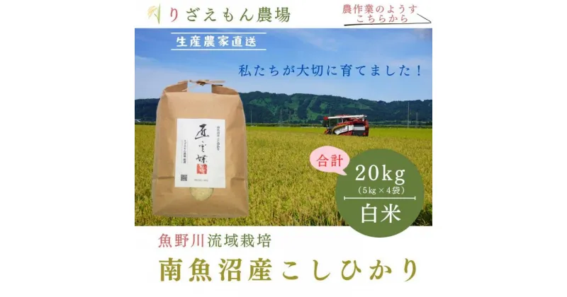 【ふるさと納税】《新米予約》白米20kg　令和6年産　南魚沼産こしひかり　魚野川流域　匠 雲蝶(たくみ　うんちょう）＼生産農家直送／ | お米 こめ 白米 コシヒカリ 食品 人気 おすすめ 送料無料 魚沼 南魚沼 南魚沼市 新潟県産 新潟県 精米