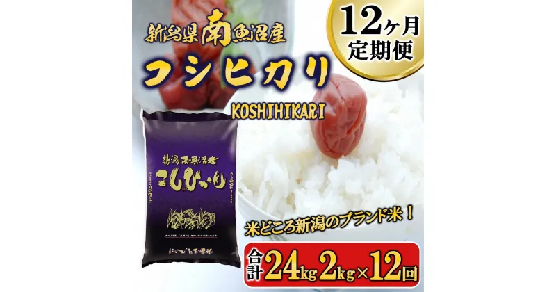 【ふるさと納税】【令和6年産新米予約／令和6年11月上旬より順次発送】米 定期便 コシヒカリ 南魚沼産 24kg ( 2kg × 12ヵ月 ) | お米 こめ 白米 コシヒカリ 食品 人気 おすすめ 送料無料 魚沼 南魚沼 南魚沼市 新潟県産 新潟県 精米 産直 産地直送 お取り寄せ お楽しみ