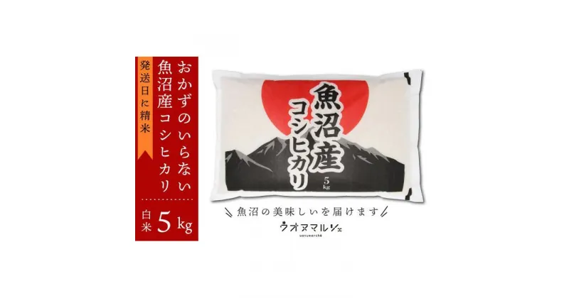 【ふるさと納税】【新米予約】令和6年産 おかずのいらない 魚沼産コシヒカリ　白米5kg | お米 こめ 白米 コシヒカリ 食品 人気 おすすめ 送料無料 魚沼 南魚沼 南魚沼市 新潟県産 新潟県 精米 産直 産地直送 お取り寄せ