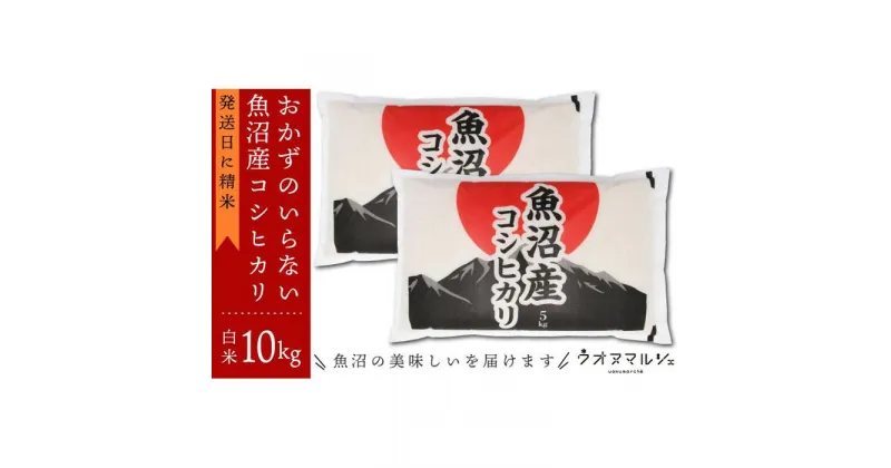 【ふるさと納税】【新米予約】令和6年産 おかずのいらない 魚沼産コシヒカリ　白米10kg | お米 こめ 白米 コシヒカリ 食品 人気 おすすめ 送料無料 魚沼 南魚沼 南魚沼市 新潟県産 新潟県 精米 産直 産地直送 お取り寄せ