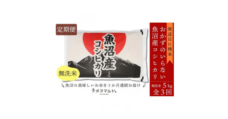 【ふるさと納税】【お米定期便/全3回】おかずのいらない 魚沼産コシヒカリ　無洗米5kg | お米 こめ 白米 コシヒカリ 食品 人気 おすすめ 送料無料 魚沼 南魚沼 南魚沼市 新潟県産 新潟県 精米 産直 産地直送 お取り寄せ お楽しみ