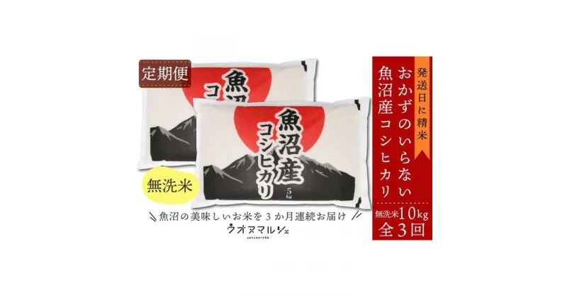 【ふるさと納税】【お米定期便/全3回】 おかずのいらない 魚沼産コシヒカリ　無洗米10kg | お米 こめ 白米 コシヒカリ 食品 人気 おすすめ 送料無料 魚沼 南魚沼 南魚沼市 新潟県産 新潟県 精米 産直 産地直送 お取り寄せ お楽しみ