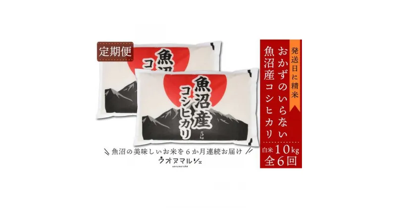 【ふるさと納税】【お米定期便/全6回】 おかずのいらない 魚沼産コシヒカリ　白米10kg | お米 こめ 白米 コシヒカリ 食品 人気 おすすめ 送料無料 魚沼 南魚沼 南魚沼市 新潟県産 新潟県 精米 産直 産地直送 お取り寄せ お楽しみ