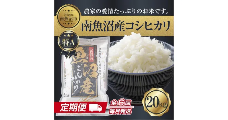 【ふるさと納税】【定期便】 新潟県 南魚沼産 コシヒカリ お米 20kg×計6回 精米済み 半年間 毎月発送 こしひかり（お米の美味しい炊き方ガイド付き） | お米 こめ 白米 コシヒカリ 食品 人気 おすすめ 送料無料 魚沼 南魚沼 南魚沼市 新潟県産 新潟県 精米