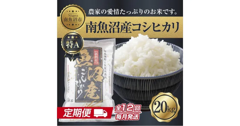 【ふるさと納税】【定期便】 新潟県 南魚沼産 コシヒカリ お米 20kg×計12回 精米済み 年間 毎月発送 こしひかり（お米の美味しい炊き方ガイド付き） | お米 こめ 白米 コシヒカリ 食品 人気 おすすめ 送料無料 魚沼 南魚沼 南魚沼市 新潟県産 新潟県 精米