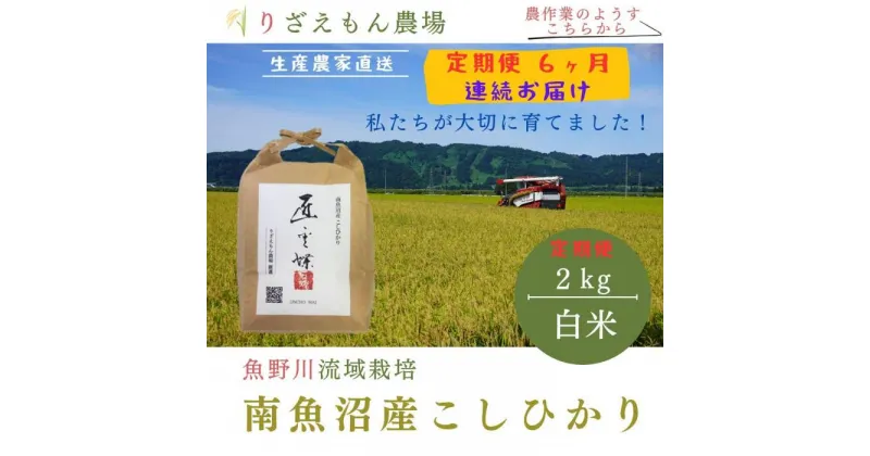 【ふるさと納税】《新米予約受付》【定期便6回×2kg≪合計12kg≫】令和6年産　南魚沼産コシヒカリ 白米 2kg　＼生産農家直送／ | お米 こめ 白米 コシヒカリ こしひかり 食品 人気 おすすめ 送料無料 魚沼 南魚沼 南魚沼市 新潟県産 新潟県 精米