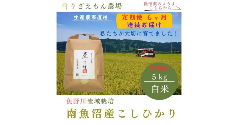 【ふるさと納税】《新米予約受付》【定期便6回×5kg≪合計30kg≫】令和6年産　南魚沼産コシヒカリ　白米 5kg　＼生産農家直送／ | お米 こめ 白米 コシヒカリ こしひかり 食品 人気 おすすめ 送料無料 魚沼 南魚沼 南魚沼市 新潟県産 新潟県 精米