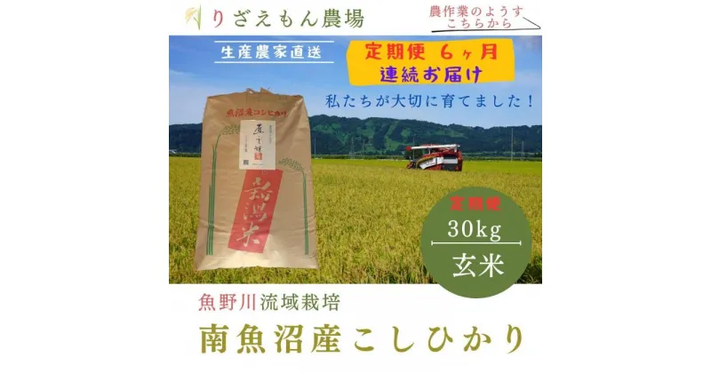 【ふるさと納税】《新米予約受付》【定期便6回×玄米30kg≪合計180kg≫】令和6年産　南魚沼産コシヒカリ　玄米 30kg　＼生産農家直送／ | お米 こめ 食品 コシヒカリ こしひかり 人気 おすすめ 送料無料 魚沼 南魚沼 南魚沼市 新潟県 玄米 産直 産地直送 お取り寄せ