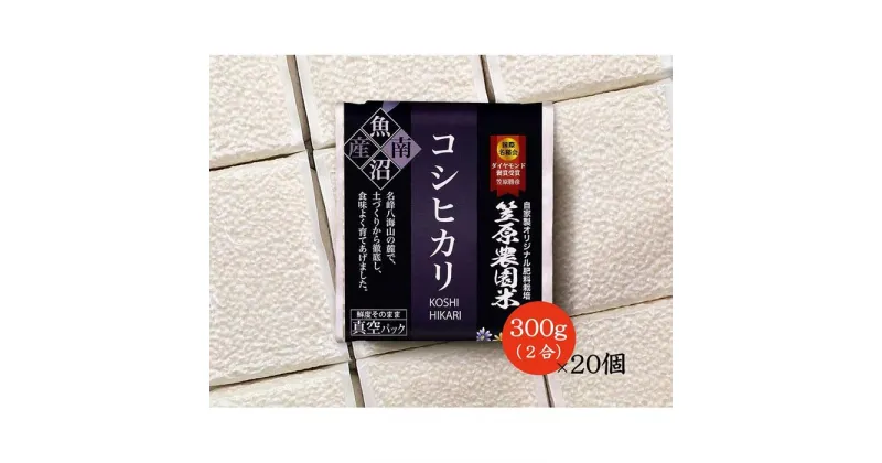 【ふるさと納税】【令和6年産新米予約／令和6年10月上旬より順次発送】米 約 6kg ( 2合 × 20個 ) お米 笠原農園米 こしひかり 新潟 南魚沼 魚沼産 南魚沼産 白米 真空パック 簡易包装 精米 | お米 こめ 白米 コシヒカリ 食品 人気 おすすめ 送料無料 魚沼 南魚沼 南魚沼市