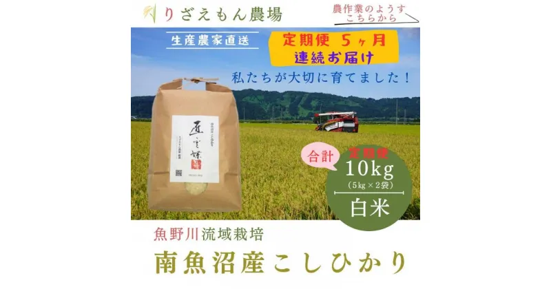 【ふるさと納税】《新米予約受付》【定期便5回×10kg《合計50kg》】令和6年産　南魚沼産コシヒカリ　白米 10kg　　＼生産農家直送／ | お米 こめ 白米 コシヒカリ こしひかり 食品 人気 おすすめ 送料無料 魚沼 南魚沼 南魚沼市 新潟県産 新潟県 精米