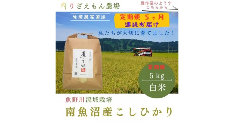 【ふるさと納税】《新米予約受付》【定期便5回×5kg《合計25kg》】令和6年産　南魚沼産コシヒカリ　白米5kg＼生産農家直送／ | お米 こめ 白米 コシヒカリ こしひかり 食品 人気 おすすめ 送料無料 魚沼 南魚沼 南魚沼市 新潟県産 新潟県 精米 産直 産地直送 お取り寄せ