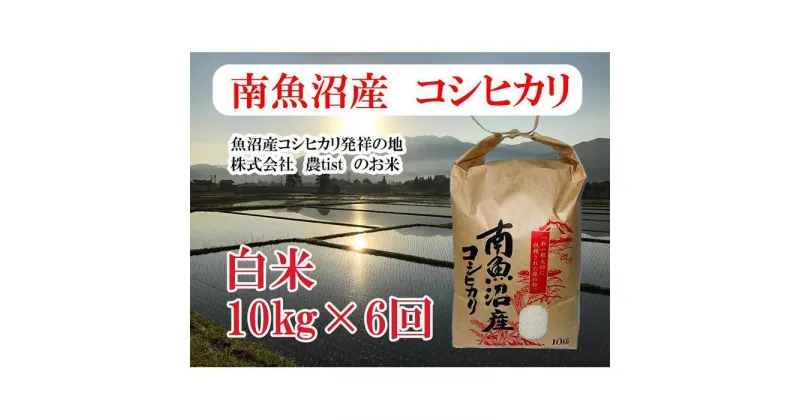 【ふるさと納税】【定期便 南魚沼産】コシヒカリ 白米10kg×6回