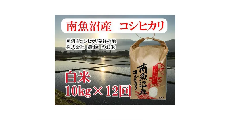 【ふるさと納税】【定期便 南魚沼産】コシヒカリ 白米10kg×12回