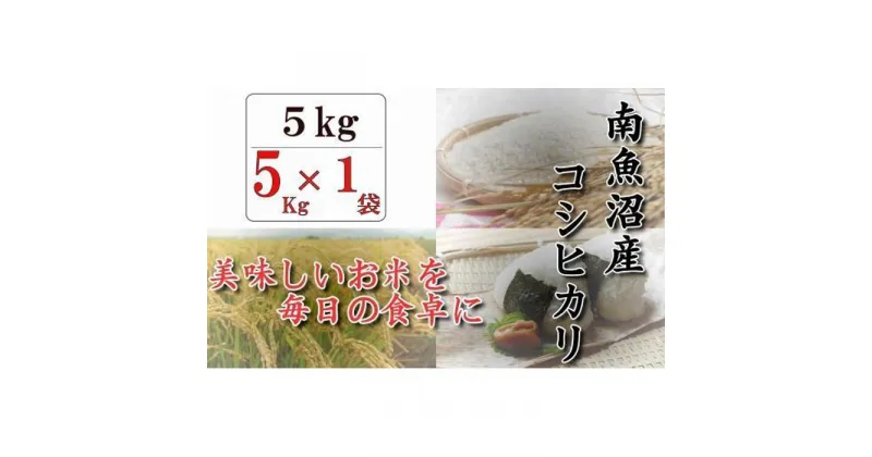 【ふるさと納税】南魚沼産コシヒカリ「八龍の尾」5kg | お米 こめ 白米 コシヒカリ 食品 人気 おすすめ 送料無料 魚沼 南魚沼 南魚沼市 新潟県産 新潟県 精米 産直 産地直送 お取り寄せ