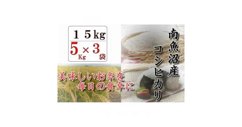 【ふるさと納税】南魚沼産コシヒカリ「八龍の尾」15kg(5kg×3) | お米 こめ 白米 コシヒカリ 食品 人気 おすすめ 送料無料 魚沼 南魚沼 南魚沼市 新潟県産 新潟県 精米 産直 産地直送 お取り寄せ