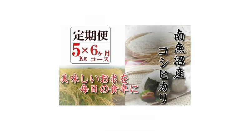 【ふるさと納税】【頒布会】南魚沼産コシヒカリ「八龍の尾」5kg×全6回 | お米 こめ 白米 コシヒカリ 食品 人気 おすすめ 送料無料 魚沼 南魚沼 南魚沼市 新潟県産 新潟県 精米 産直 産地直送 お取り寄せ お楽しみ