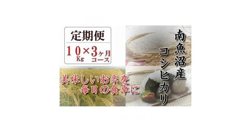 【ふるさと納税】【頒布会】南魚沼産コシヒカリ「八龍の尾」10kg×全3回 | お米 こめ 白米 コシヒカリ 食品 人気 おすすめ 送料無料 魚沼 南魚沼 南魚沼市 新潟県産 新潟県 精米 産直 産地直送 お取り寄せ お楽しみ