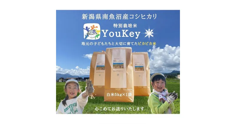 【ふるさと納税】新潟県南魚沼産　特別栽培米 「YouKey 米」 5kg（精米） | お米 こめ 白米 食品 人気 おすすめ 送料無料 魚沼 南魚沼 南魚沼市 新潟県産 新潟県 精米 産直 産地直送 お取り寄せ