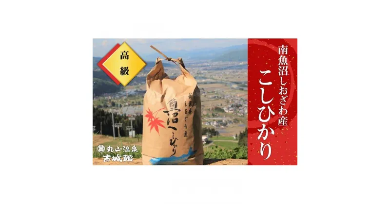 【ふるさと納税】生産者限定 南魚沼しおざわ産コシヒカリ　精米10kg | お米 こめ 白米 コシヒカリ 食品 人気 おすすめ 送料無料 魚沼 南魚沼 南魚沼市 新潟県産 新潟県 精米 産直 産地直送 お取り寄せ