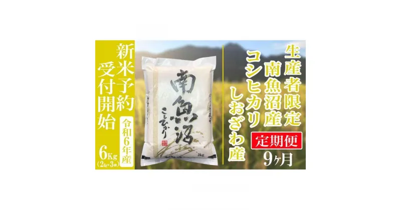 【ふるさと納税】【新米予約・令和6年産】定期便9ヶ月：精米6kg生産者限定 南魚沼しおざわ産コシヒカリ | お米 こめ 白米 食品 人気 おすすめ 送料無料