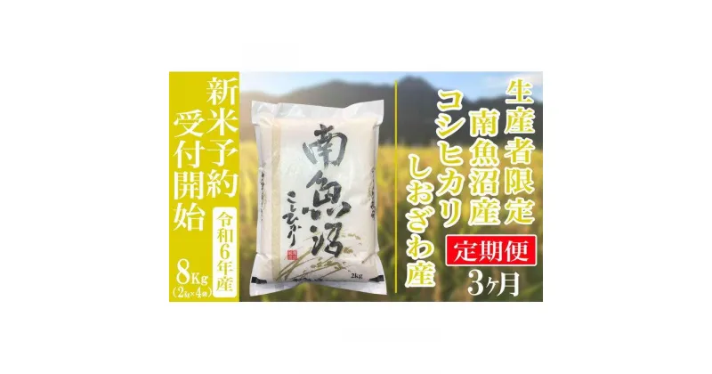 【ふるさと納税】【新米予約・令和6年産】定期便3ヶ月：精米8kg生産者限定 南魚沼しおざわ産コシヒカリ | お米 こめ 白米 食品 人気 おすすめ 送料無料