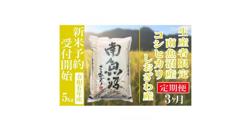 【ふるさと納税】【新米予約・令和6年産】定期便3ヶ月：精米5kg生産者限定 南魚沼しおざわ産コシヒカリ | お米 こめ 白米 食品 人気 おすすめ 送料無料