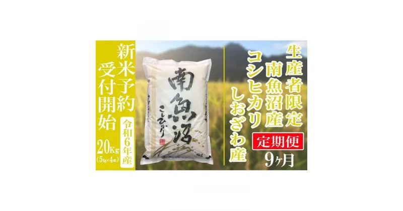 【ふるさと納税】【新米予約・令和6年産】定期便9ヶ月：精米20kg生産者限定 南魚沼しおざわ産コシヒカリ | お米 こめ 白米 食品 人気 おすすめ 送料無料