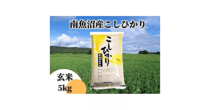 【ふるさと納税】中【令和6年産 新米】【新潟県 特A地区】南魚沼産こしひかり 玄米5kg | お米 こめ 食品 コシヒカリ 人気 おすすめ 送料無料 魚沼 南魚沼 南魚沼市 新潟県 玄米 産直 産地直送 お取り寄せ