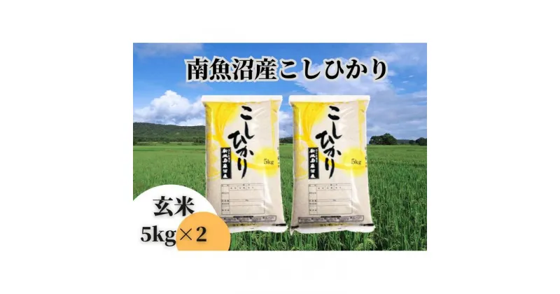 【ふるさと納税】中【令和6年産 新米】【新潟県 特A地区】南魚沼産こしひかり 玄米10kg（5kg×2袋） | お米 こめ 食品 コシヒカリ 人気 おすすめ 送料無料 魚沼 南魚沼 南魚沼市 新潟県 玄米 産直 産地直送 お取り寄せ