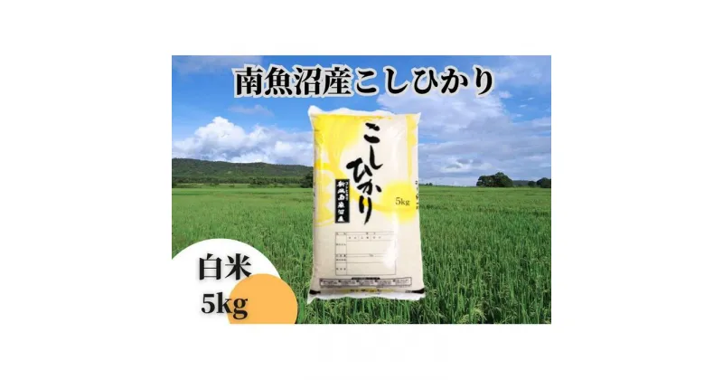 【ふるさと納税】中【令和6年産 新米】【新潟県 特A地区】南魚沼産こしひかり 白米5kg | お米 こめ 白米 コシヒカリ 食品 人気 おすすめ 送料無料 魚沼 南魚沼 南魚沼市 新潟県産 新潟県 精米 産直 産地直送 お取り寄せ