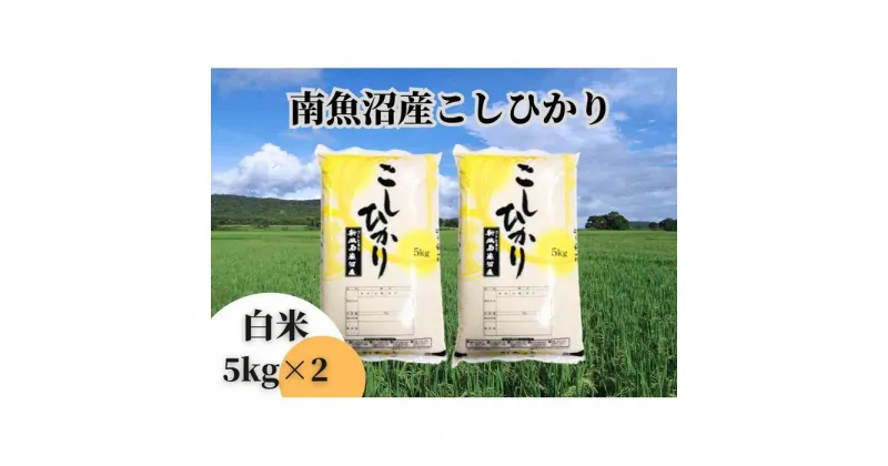 【ふるさと納税】中【令和6年産 新米】【新潟県 特A地区】南魚沼産こしひかり 白米10kg（5kg×2袋） | お米 こめ 白米 コシヒカリ 食品 人気 おすすめ 送料無料 魚沼 南魚沼 南魚沼市 新潟県産 新潟県 精米 産直 産地直送 お取り寄せ