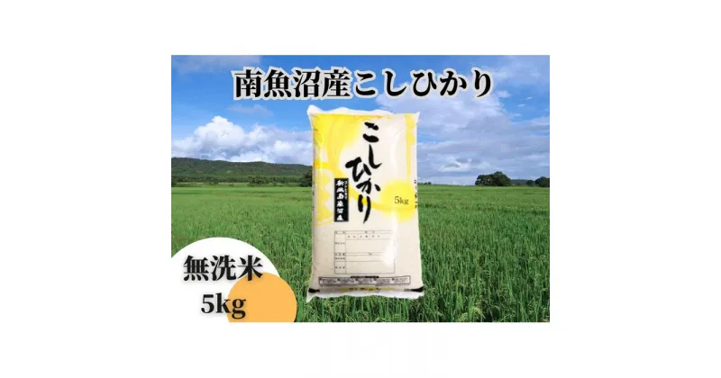 【ふるさと納税】中【令和6年産 新米】【新潟県 特A地区】南魚沼産こしひかり 無洗米5kg | お米 こめ 白米 コシヒカリ 食品 人気 おすすめ 送料無料 魚沼 南魚沼 南魚沼市 新潟県産 新潟県 精米 産直 産地直送 お取り寄せ