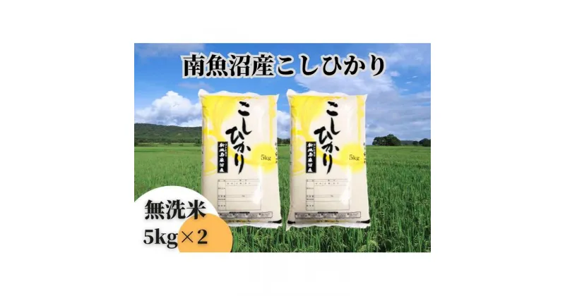 【ふるさと納税】中【令和6年産 新米】【新潟県 特A地区】南魚沼産こしひかり 無洗米10kg（5kg×2袋） | お米 こめ 白米 コシヒカリ 食品 人気 おすすめ 送料無料 魚沼 南魚沼 南魚沼市 新潟県産 新潟県 精米 産直 産地直送 お取り寄せ