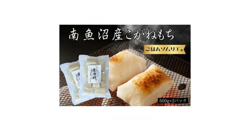 【ふるさと納税】南魚沼こがねもち　庄治郎　500g×2袋　個包装 | もち 食品 魚沼 新潟県産 新潟県 南魚沼市 産直 産地直送 お取り寄せ 人気 おすすめ 送料無料