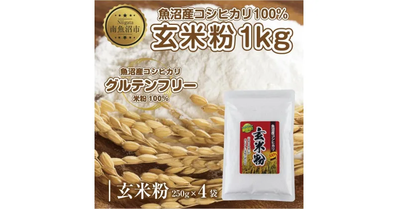 【ふるさと納税】玄米粉 250g×4袋 計1kg 魚沼産 コシヒカリ 玄米 白米粉 グルテンフリー 小麦不使用 GABA アレルギー お取り寄せ パン ケーキ 菓子 ギフト 送料無料 コパフーズ 新潟県 南魚沼市 | 食品 加工食品 人気 おすすめ 送料無料